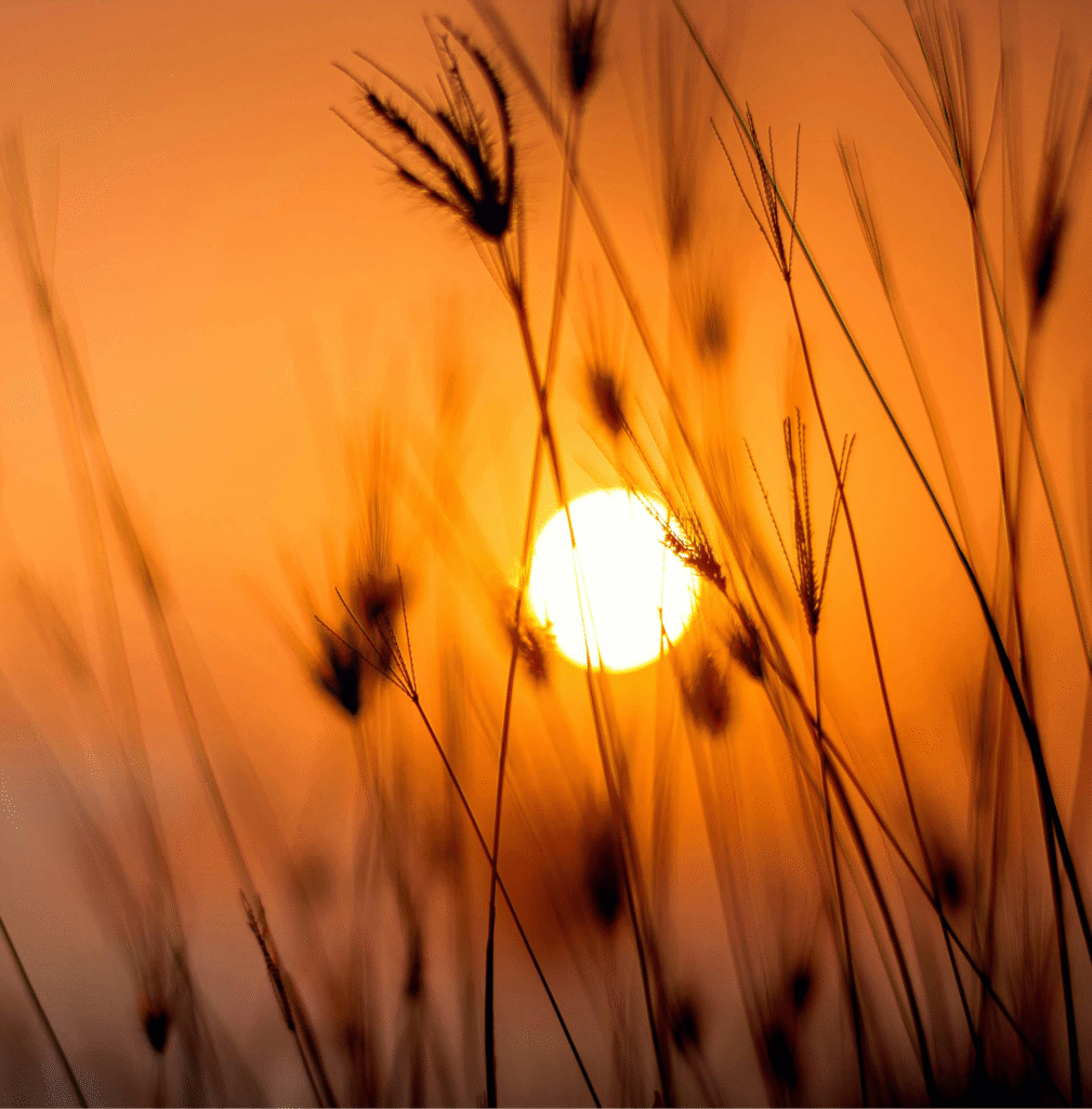 Je vais te dire un secret - Écriture intuitive