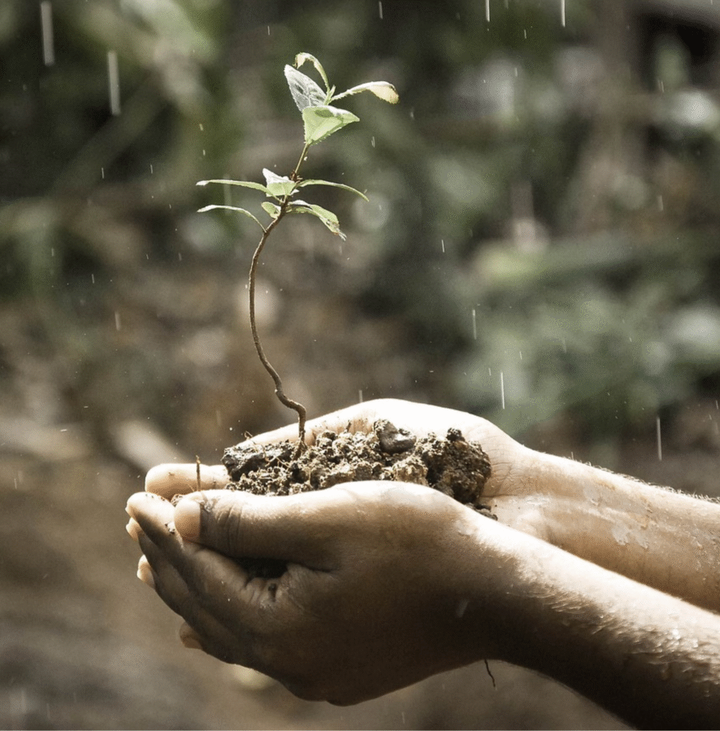 La vie - Écriture intuitive