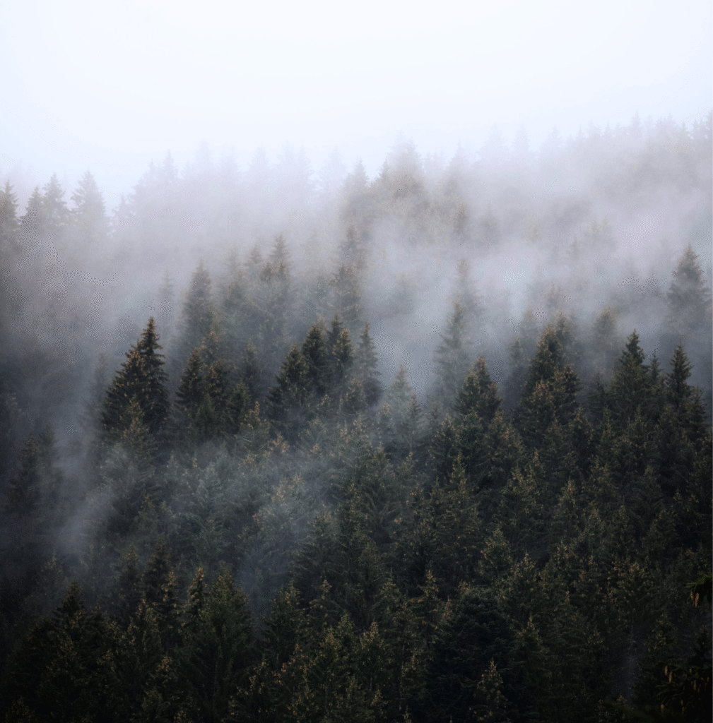 Le silence - Écriture intuitive