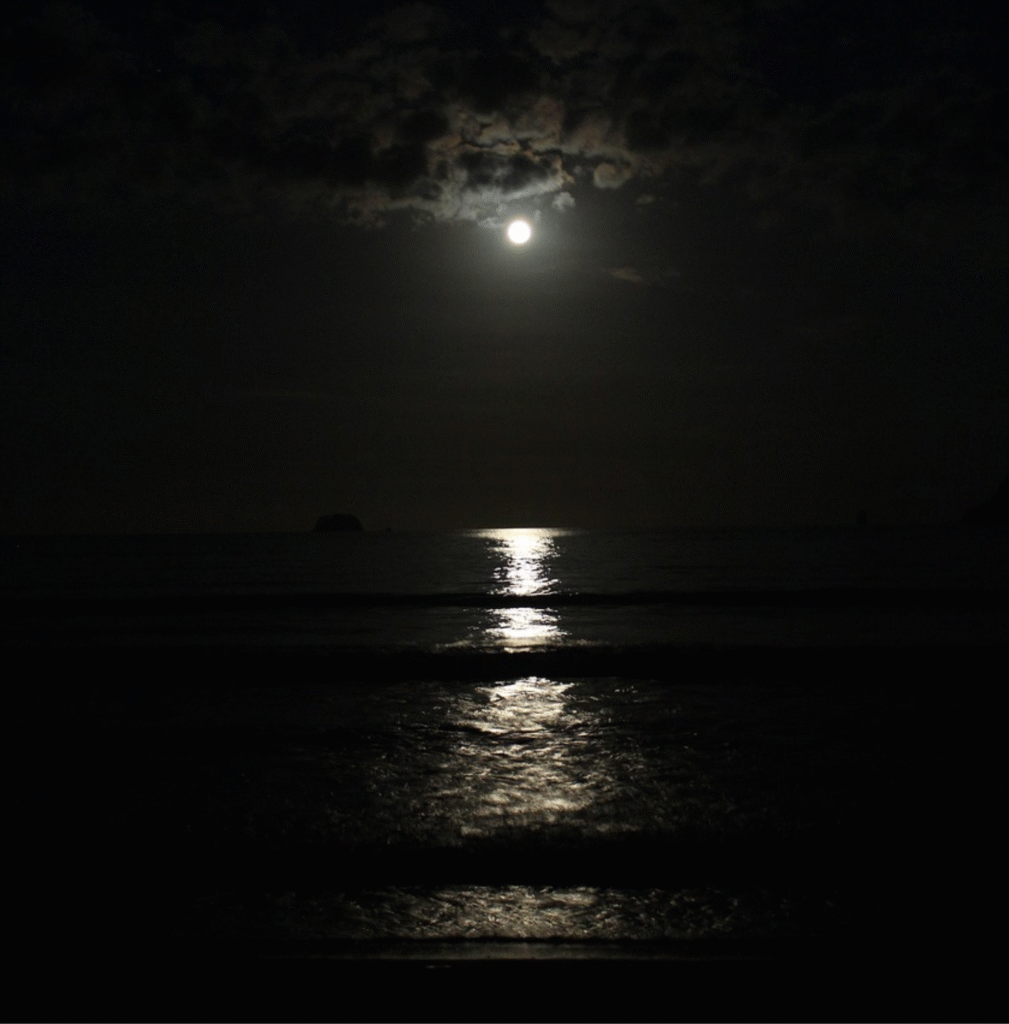 Texte en écriture intuitive: Qu'est-ce que tu vois ?